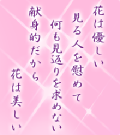 I[̌t